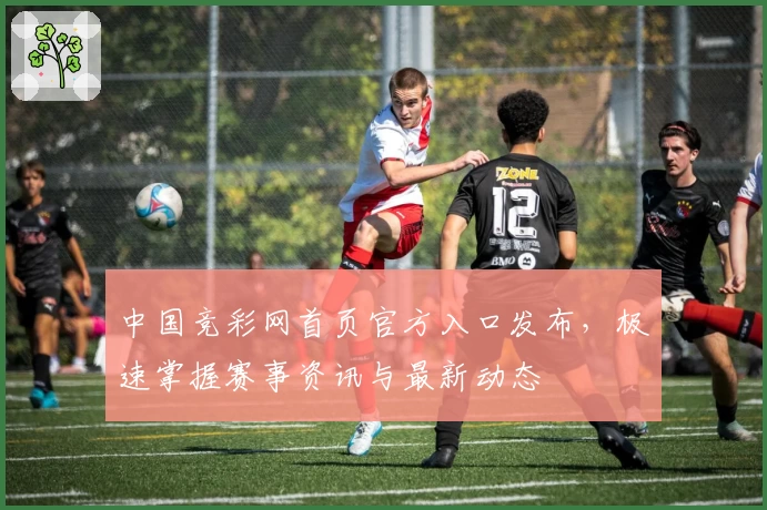 中国竞彩网首页官方入口发布，极速掌握赛事资讯与最新动态